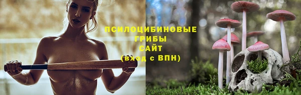 ALPHA-PVP Ельня