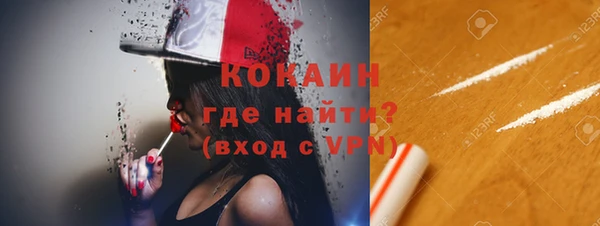 сатива Елизово