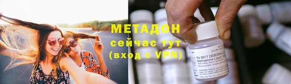 сатива Елизово