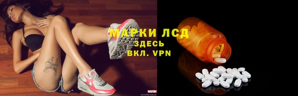сатива Елизово
