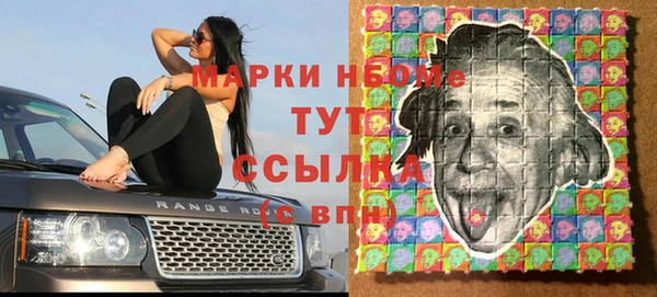 сатива Елизово