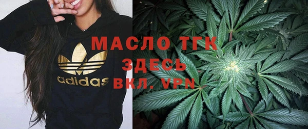 сатива Елизово
