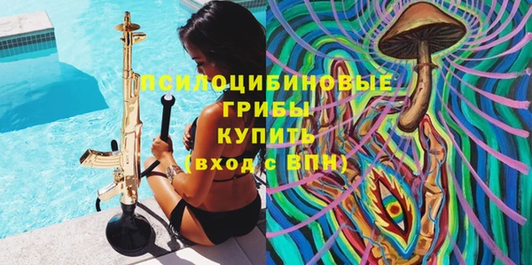 дживик Пестово