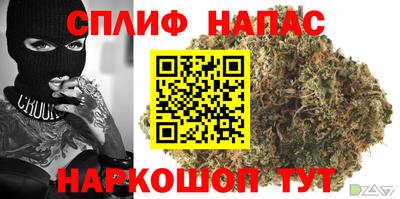 бошки Бийск