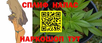 бошки Бийск