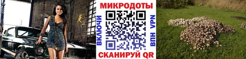 Галлюциногенные грибы мухоморы  Донской 