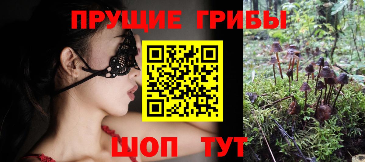Донской  Галлюциногенные грибы мицелий  Вход с VPN  наркошоп  Галлюциногенные грибы прущие грибы 