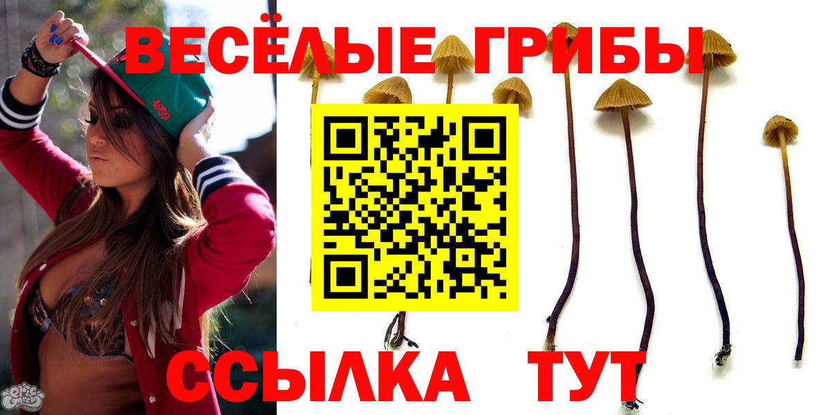 Галлюциногенные грибы MAGIC MUSHROOMS  Донской 