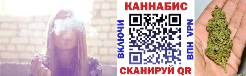 Шишки марихуана сатива  Донской 