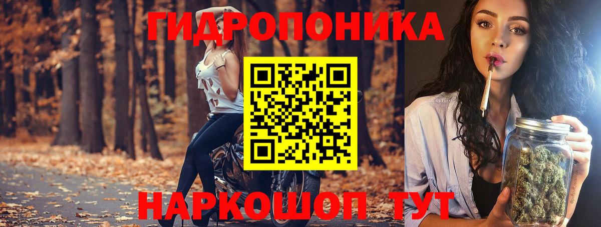 Марихуана SATIVA & INDICA  Конопля конопля  Вход с VPN  Канабис THC 21%  Донской  Бошки Шишки планчик 